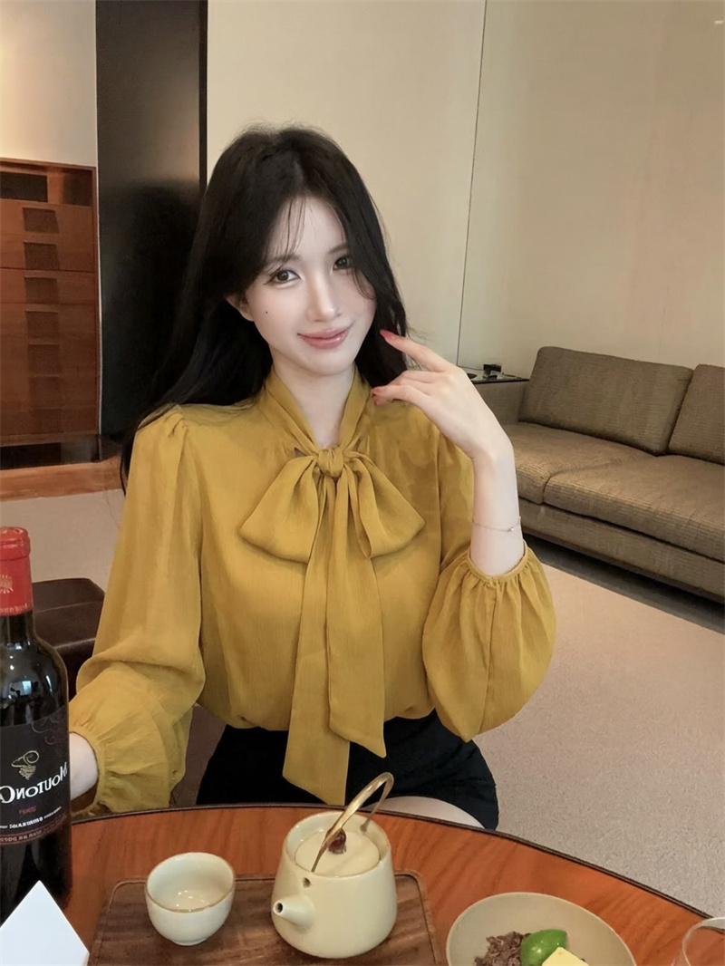 French Style Stand Collar Ribbon Chiffon Sun Protection Top - Image 2