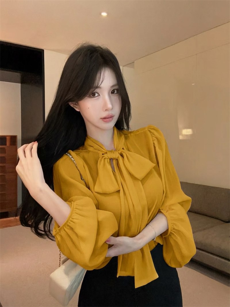 French Style Stand Collar Ribbon Chiffon Sun Protection Top