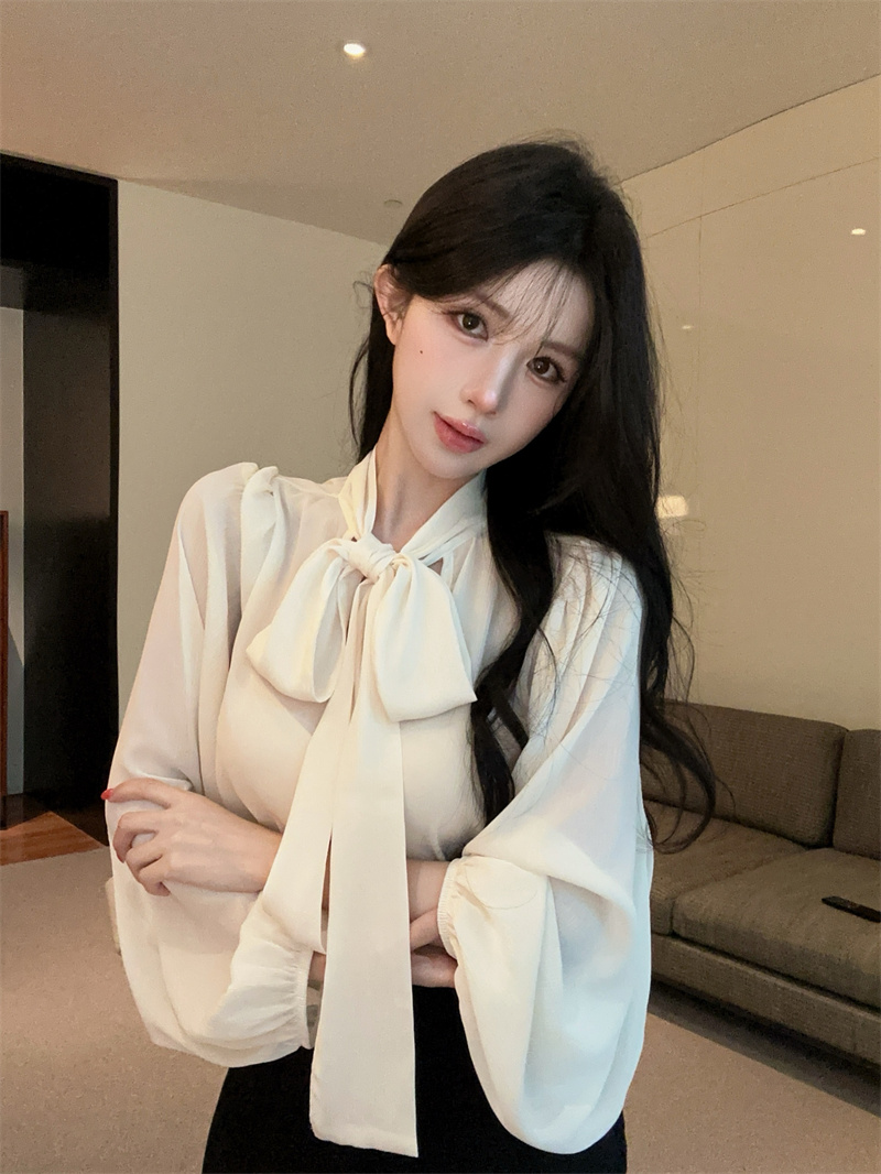 French Style Stand Collar Ribbon Chiffon Sun Protection Top - Image 3